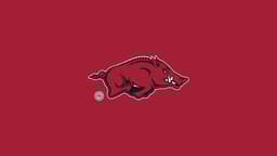 Arkansas Razorbacks icon