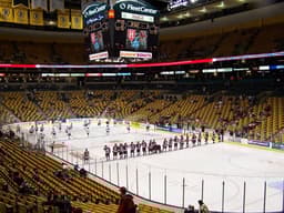 Boston Bruins icon