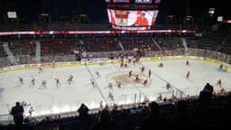 Calgary Flames icon