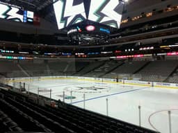 Dallas Stars icon