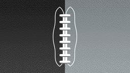 Las Vegas Raiders icon