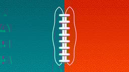 Miami Dolphins icon