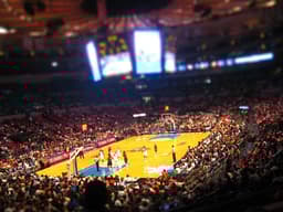 New York Liberty icon