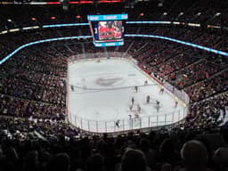 Ottawa Senators icon