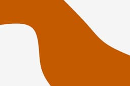Texas Longhorns icon
