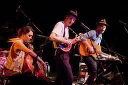 The Lumineers icon
